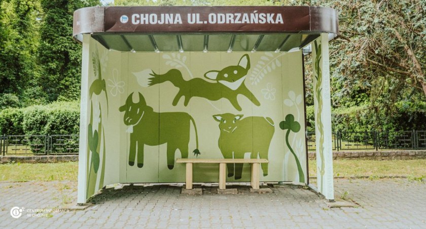 Foto: Królewska Chojna