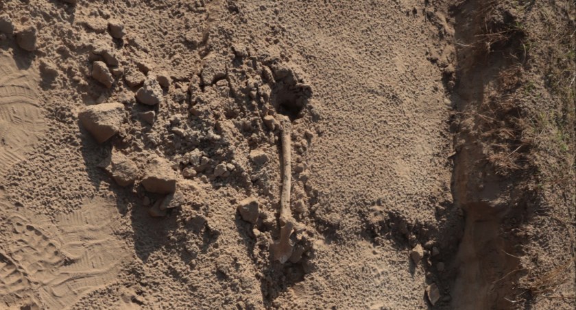 Foto: Katedra Archeologii US