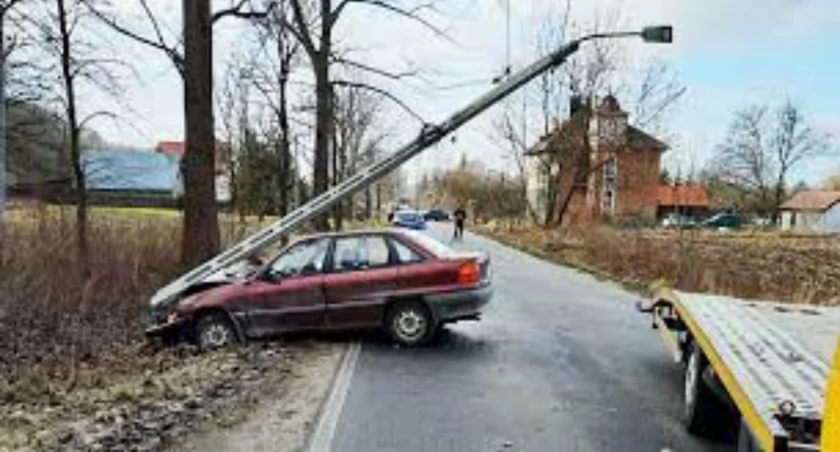 Fotografia poglądowa