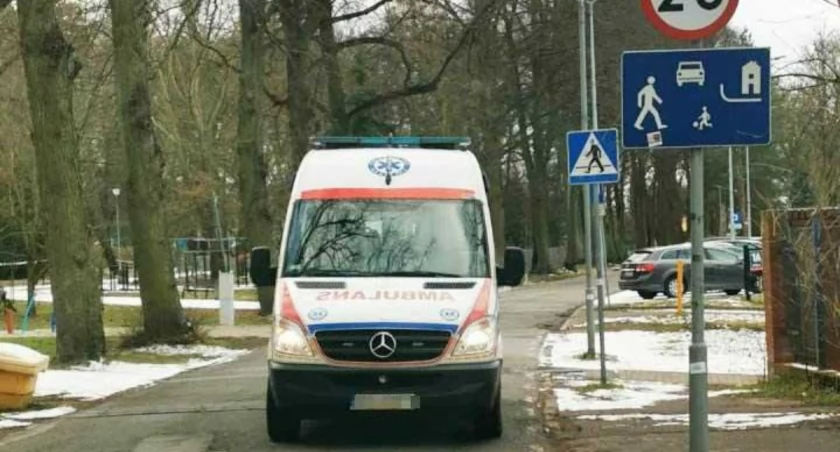 Foto i tekst: gmina Gryfino