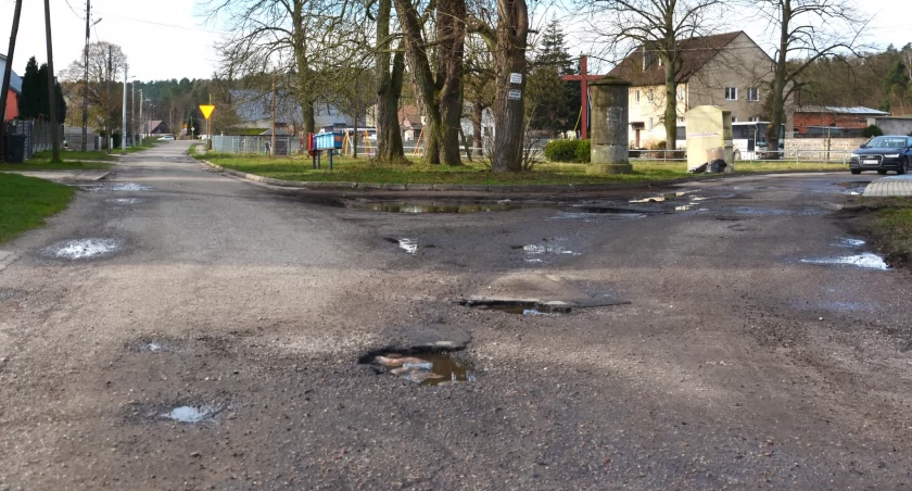 Foto i tekst: gmina Gryfino