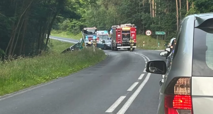 Foto: Suszą! Gryfino!