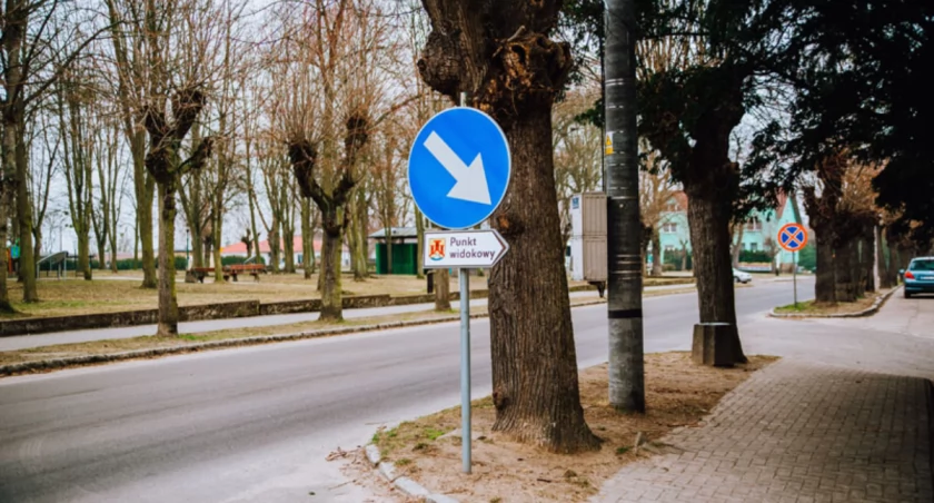 Fotografia poglądowa