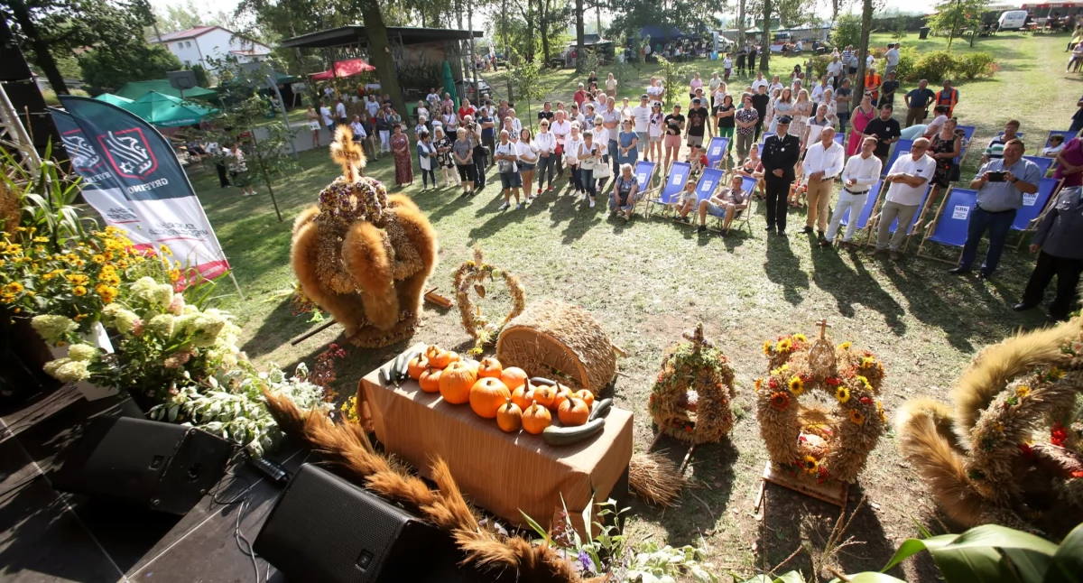 Imprezy, Dożynki Steklnie Zagrają Boomcyk Dżasta Spike - zdjęcie, fotografia