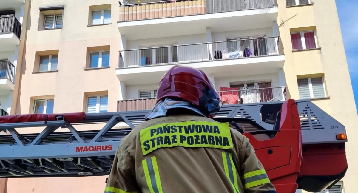 Fotografia poglądowa 