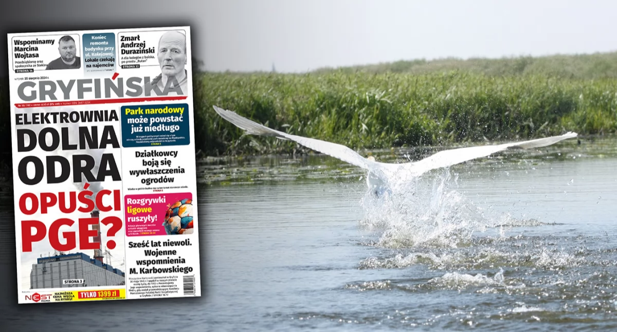 Natura Miejsca, Gazeta Gryfińska narodowy może powstać niedługo - zdjęcie, fotografia