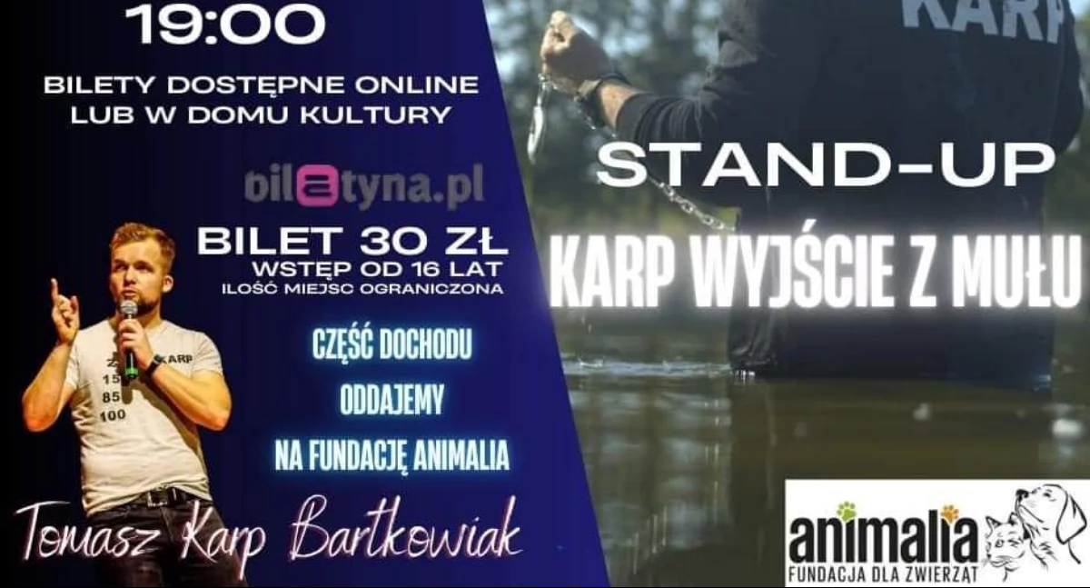 Imprezy, wyjście mułu Wrześniowy stand Gryfińskim Kultury - zdjęcie, fotografia