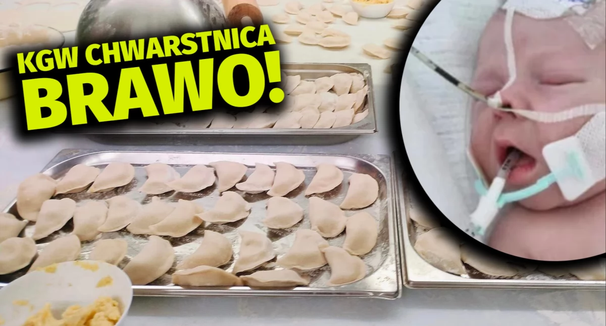 Akcje charytatywne, Chwarstnica ulepi pierogów Juliana Trzcińskiego! - zdjęcie, fotografia