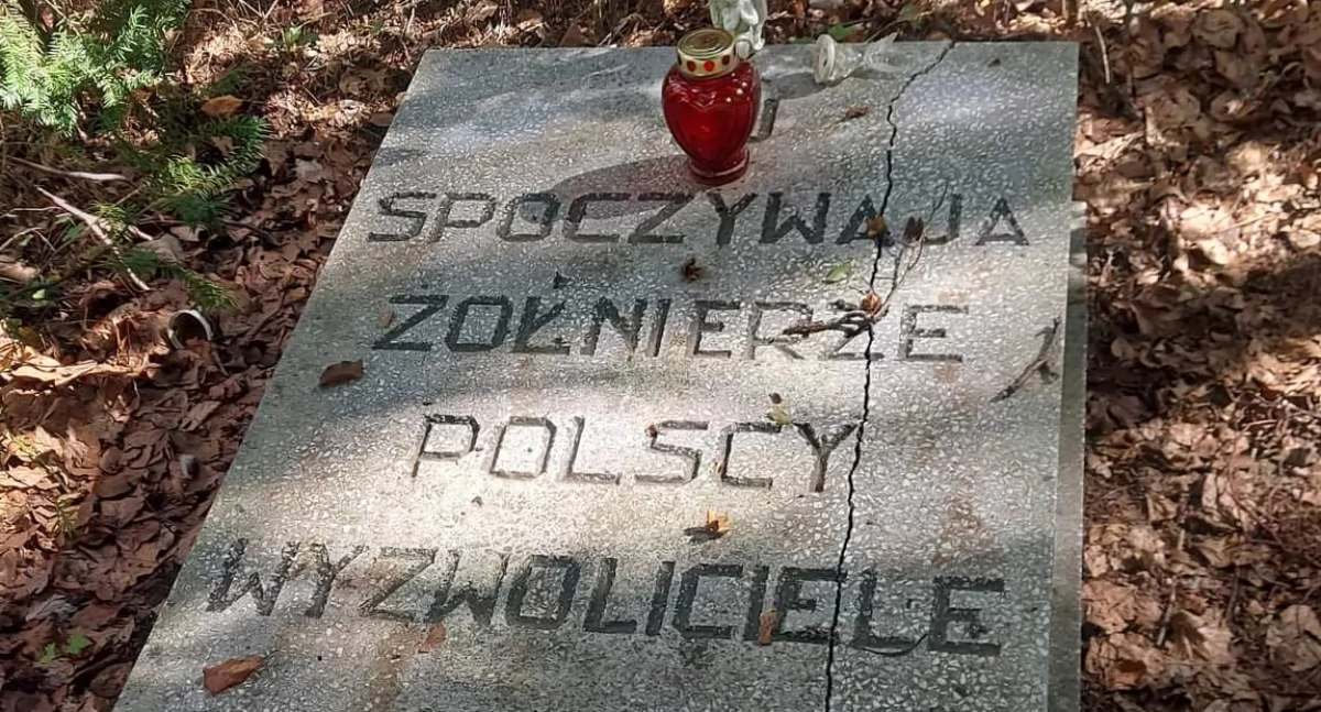 Inicjatywy społeczne, Chcą odnowić symboliczny grób polskich żołnierzy którzy walczyli bitwie Greifenhagen - zdjęcie, fotografia