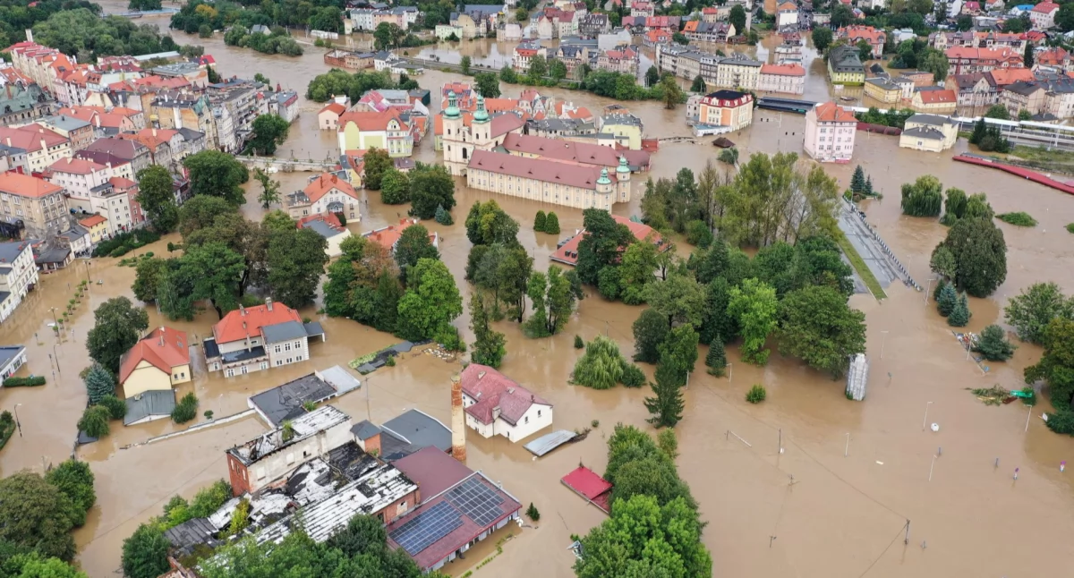 Fotografia poglądowa 