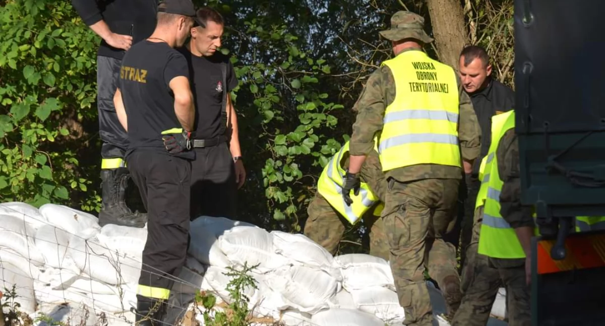 Foto i tekst Gmina Gryfino