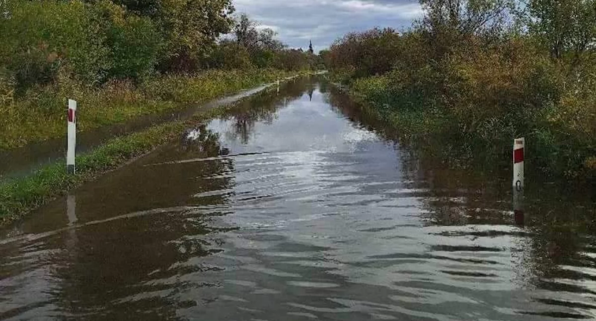 Info, Najnowsze informacje sprawie stanu - zdjęcie, fotografia