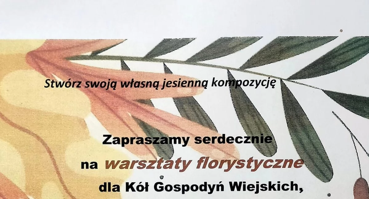 Imprezy, czeka wtorek - zdjęcie, fotografia