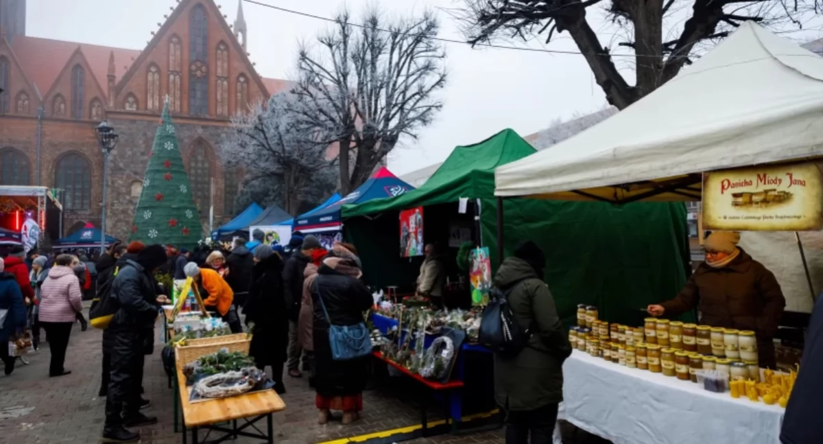 Imprezy, Gryfinie odbędzie tylko Jarmark Bożonarodzeniowy także Mikołajki Miejska Wigilia - zdjęcie, fotografia