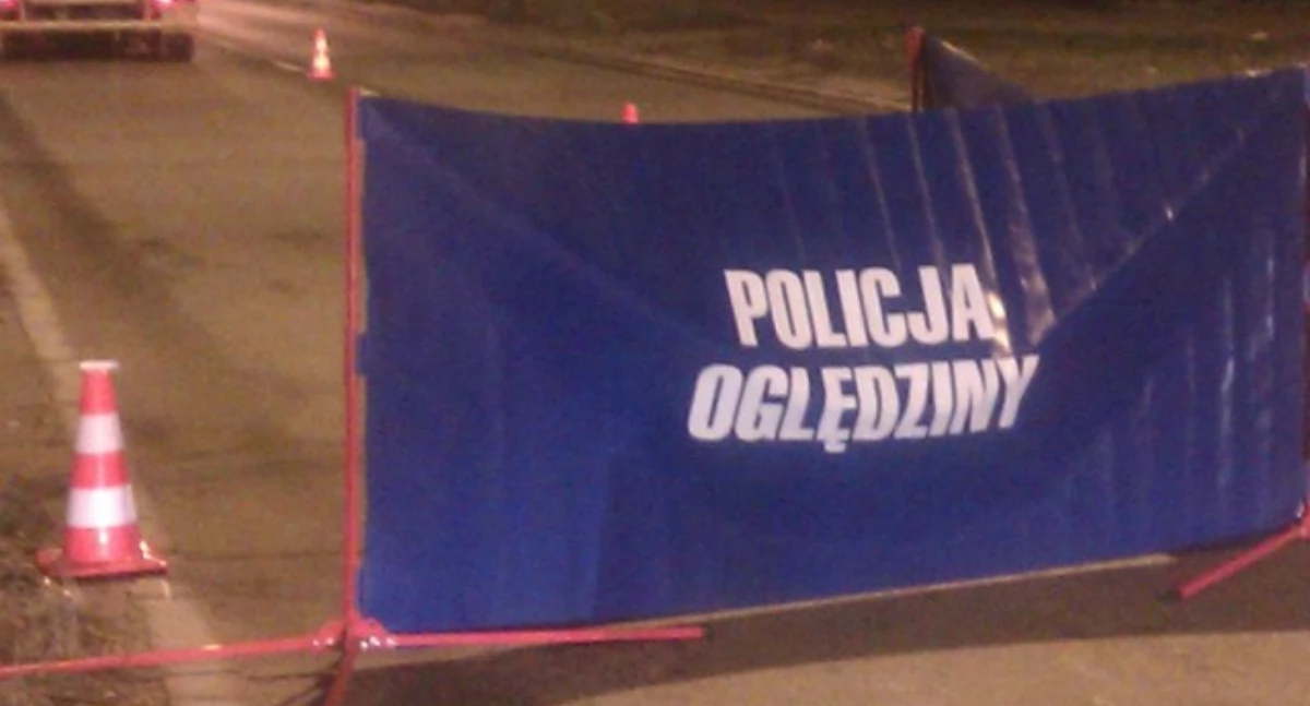 Fotografia poglądowa 