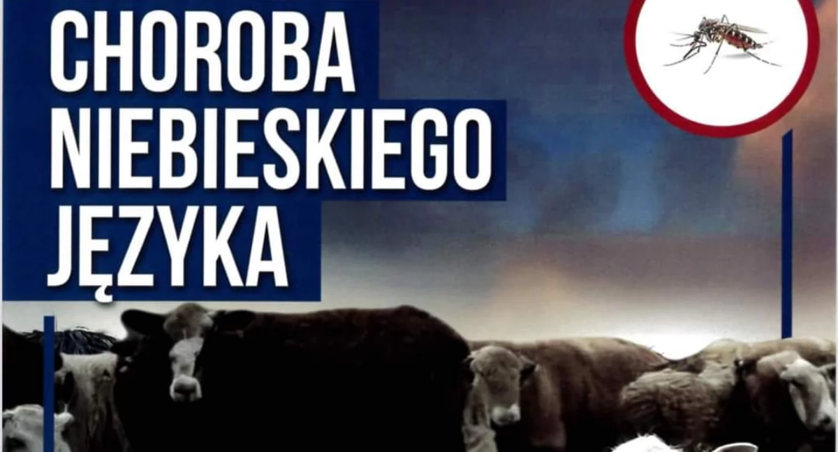 Zwierzęta, Ostrzeżenie przed chorobą niebieskiego języka - zdjęcie, fotografia