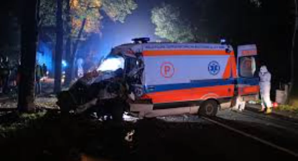 Fotografia poglądowa 
