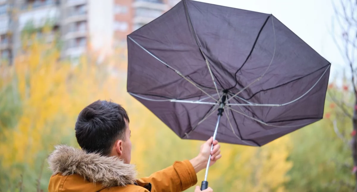 Info, Uważajcie silny wiatr dmuchać soboty - zdjęcie, fotografia