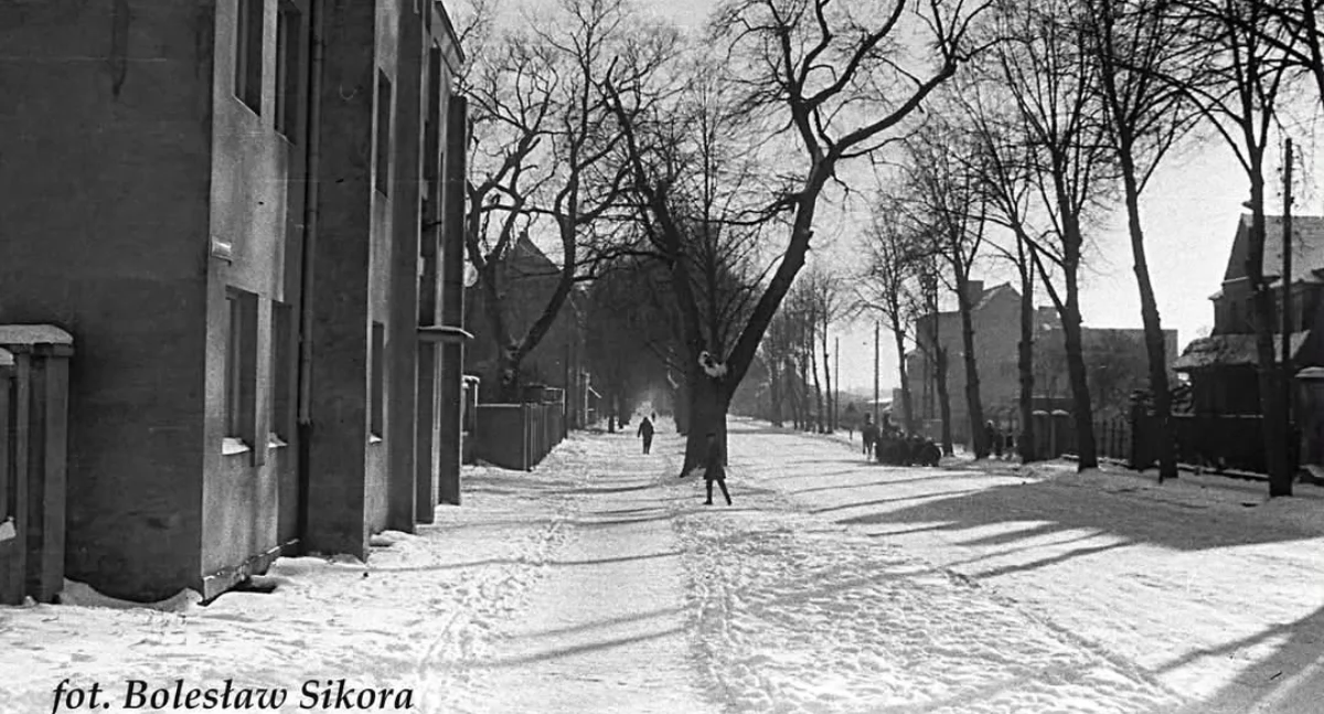 Info, Gryfinie spadnie śnieg Może dużo - zdjęcie, fotografia