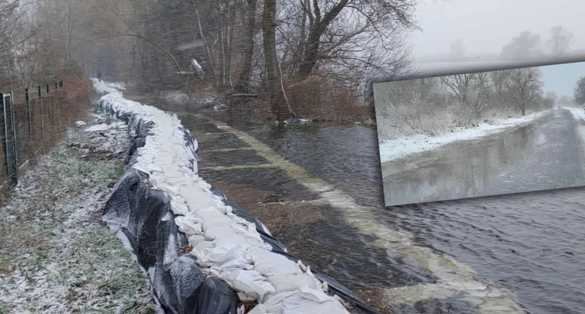 Info, Ogromna cofka więcej podczas ostatniej powodzi Zamykają drogę - zdjęcie, fotografia