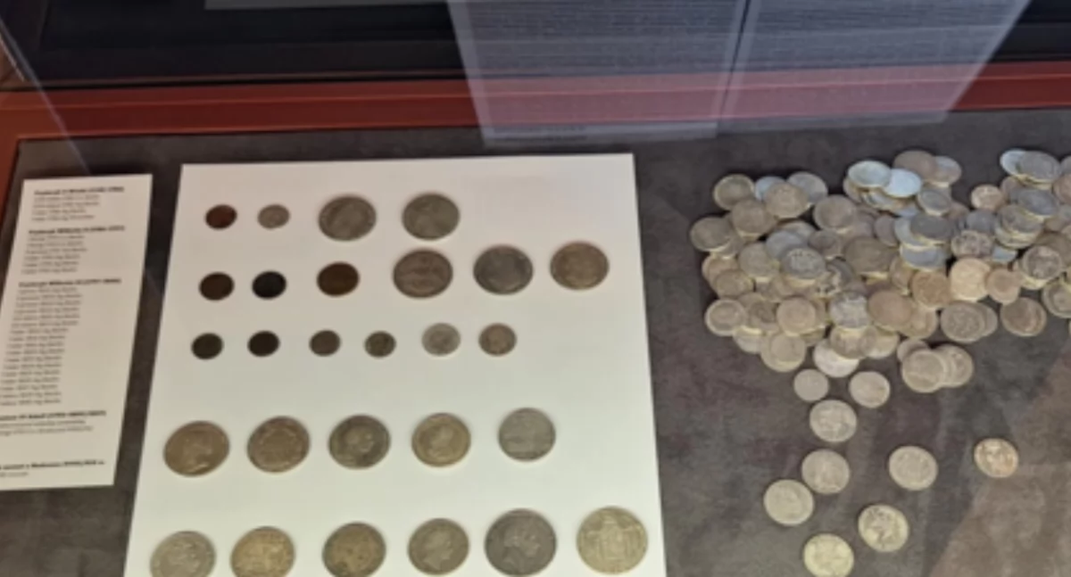 Wystawy Warsztaty, Muzeum Szczecinie zaprezentowało monety znalezione Rożnowie [GALERIA] - zdjęcie, fotografia