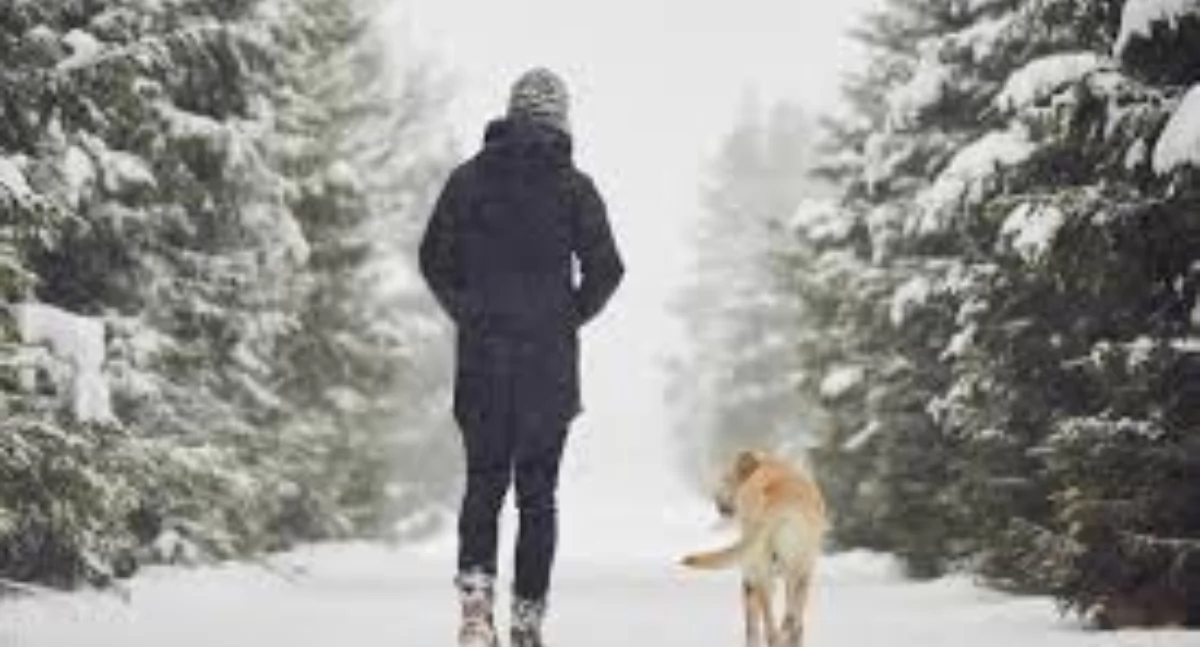 Wystawy Warsztaty, Dziś godzinie Zimowy Spacer Kamillą Szabałkin - zdjęcie, fotografia