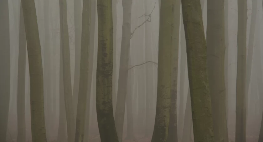 Zdjęcie Krzysztof Kordowski - fotografia