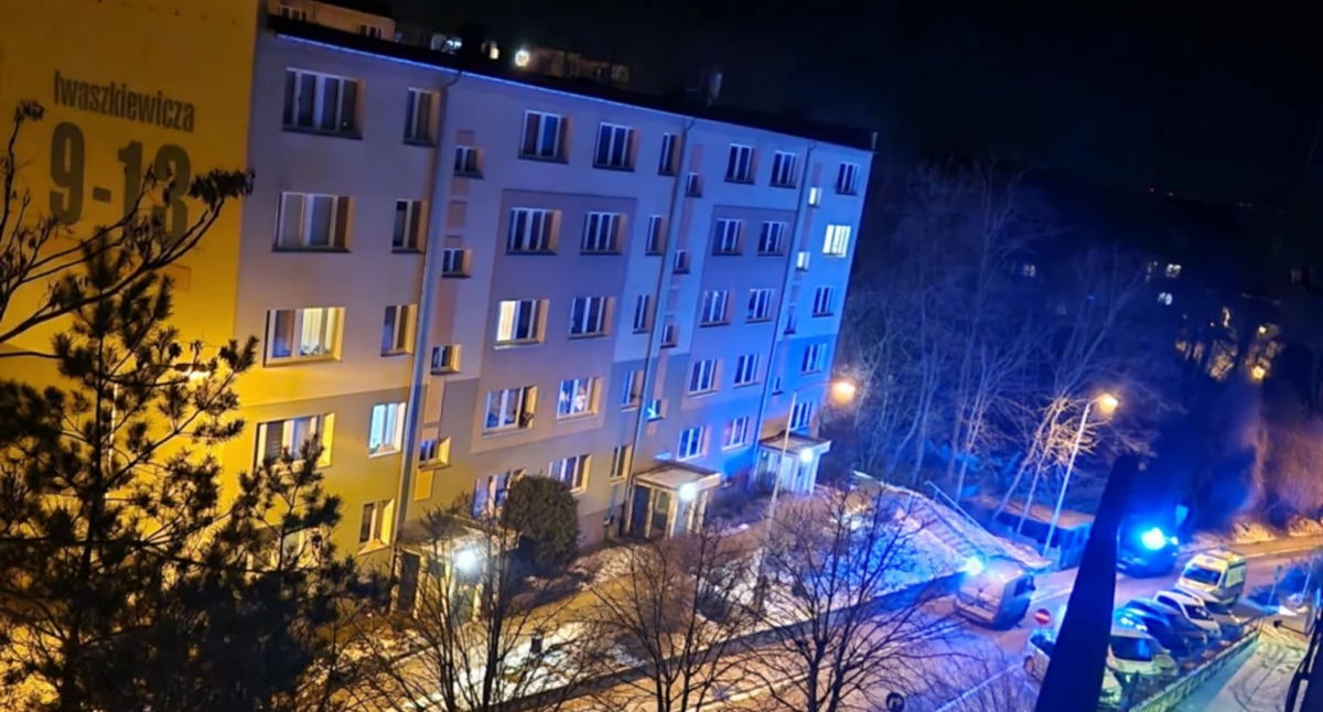 Policja - kryminalne, Wieczorna awantura Iwaszkiewicza Interweniowała policja - zdjęcie, fotografia