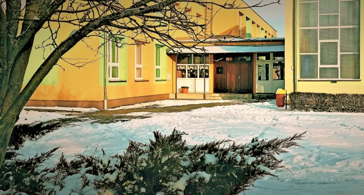 Foto i tekst: Królewska Chojna