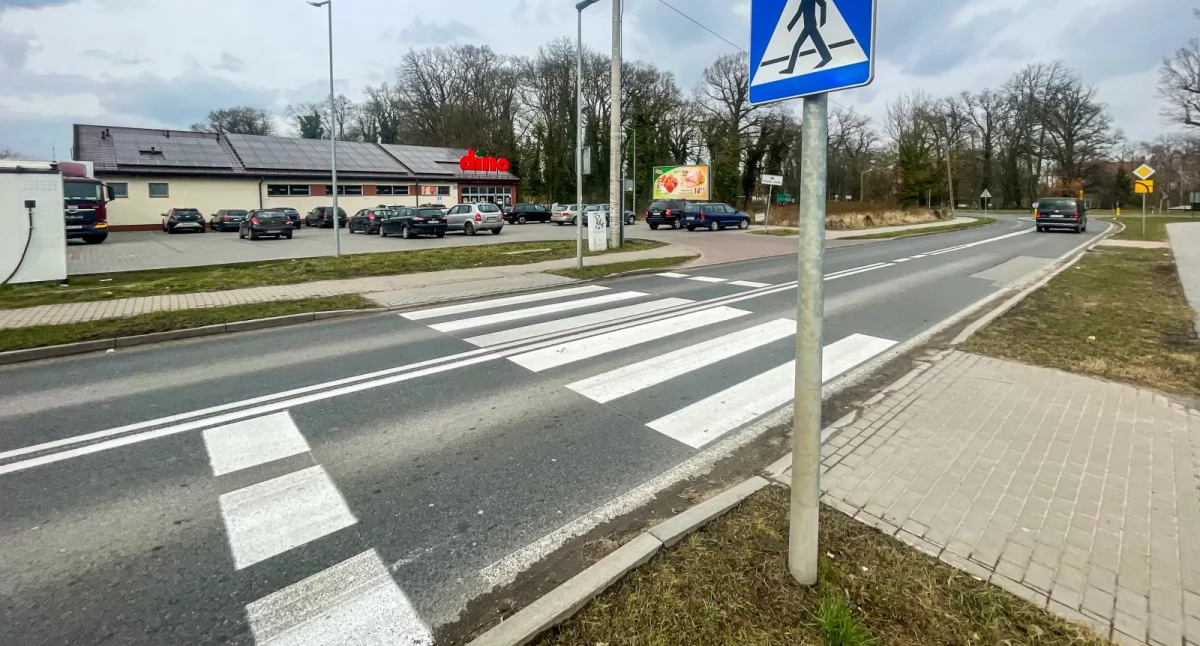 Foto i tekst: Królewska Chojna