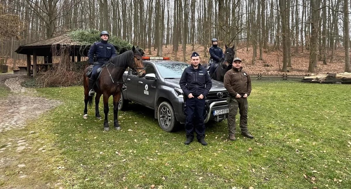 Policja - kryminalne, Policja koniach Działają wspólnie Strażą Leśną [ZDJĘCIA] - zdjęcie, fotografia
