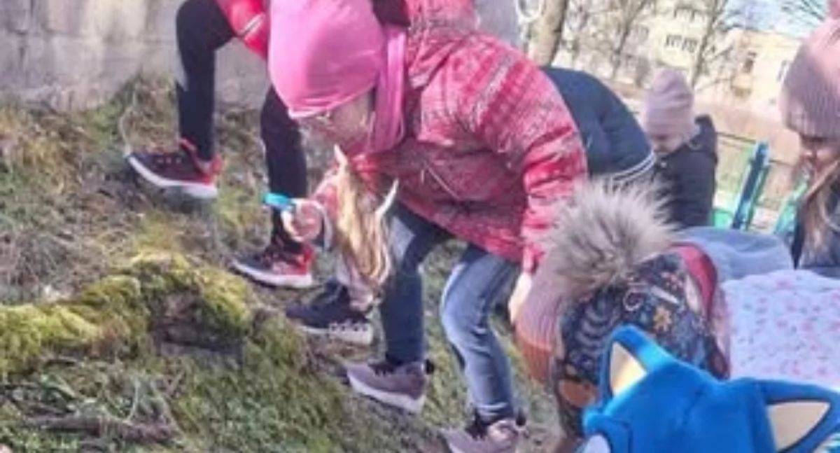 Foto i tekst: gmina Gryfino