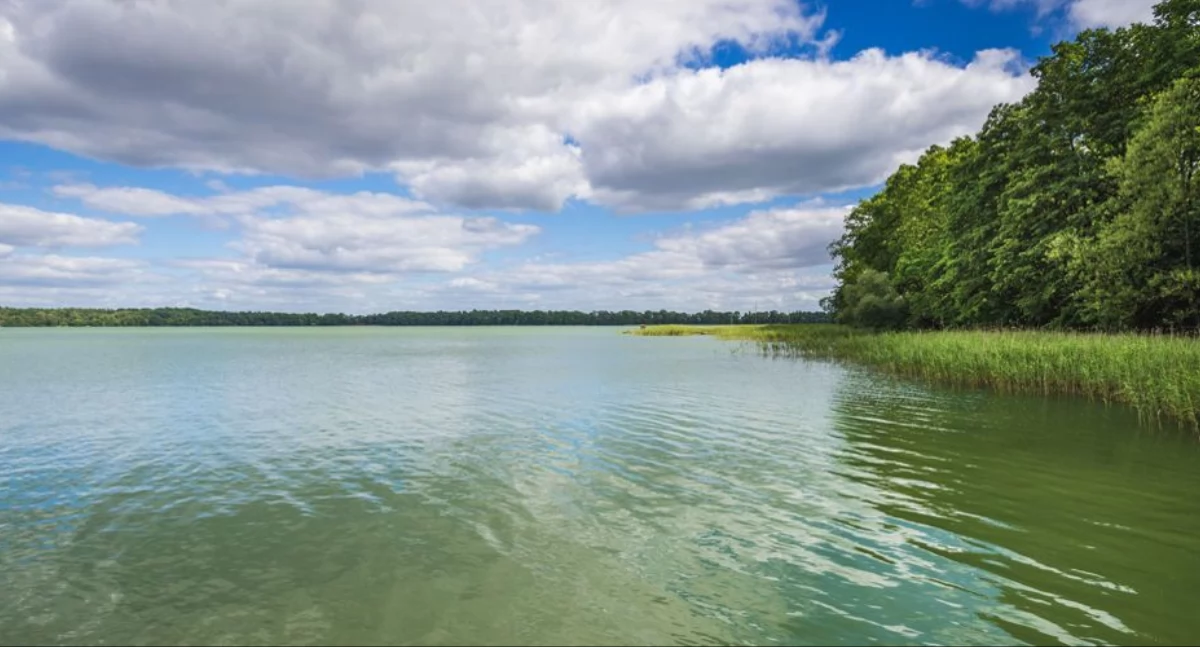 Odeszli, Służby potwierdzają żyje latek - zdjęcie, fotografia