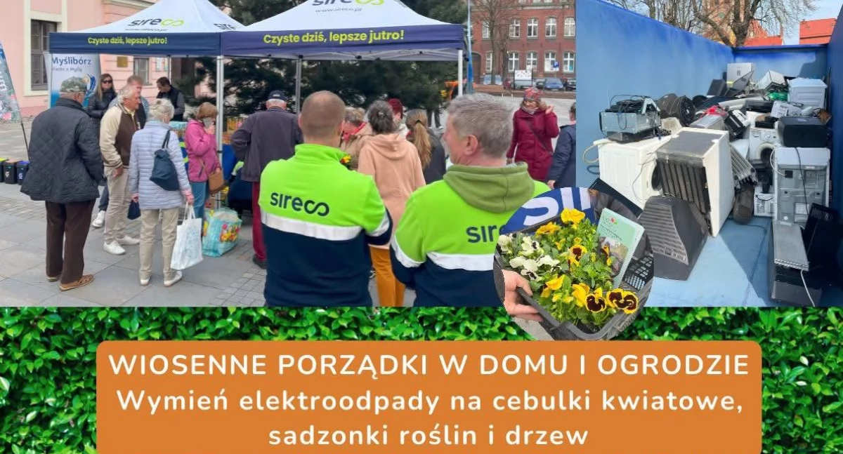 Inicjatywy społeczne, Dostaniesz rozsady elektroodpady - zdjęcie, fotografia