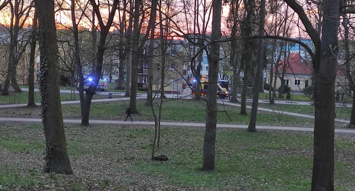 Inicjatywy społeczne, Policja pogotowie interweniowały gryfińskim parku - zdjęcie, fotografia