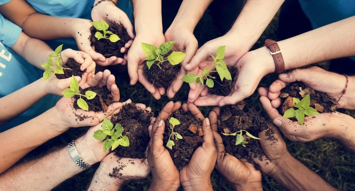 Inicjatywy społeczne, Zapraszają opracowania Miejskiego Planu Adaptacji zmian klimatu Gryfina - zdjęcie, fotografia
