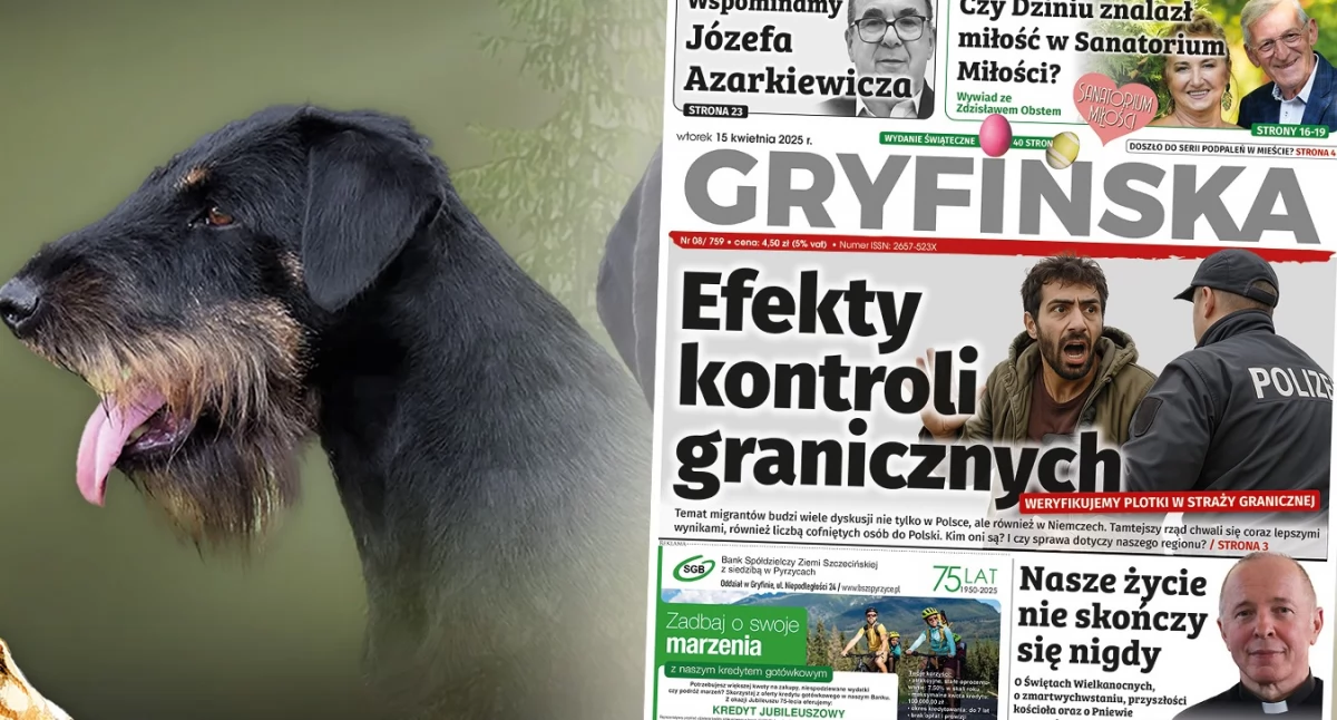 Imprezy, niedzielę odbędzie wystawa psów oraz… wyścig jamników! - zdjęcie, fotografia