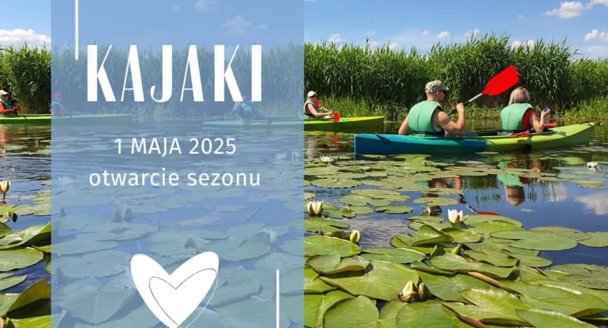 Info, Dziś rusza sezon kajakowy Gryfinie! - zdjęcie, fotografia