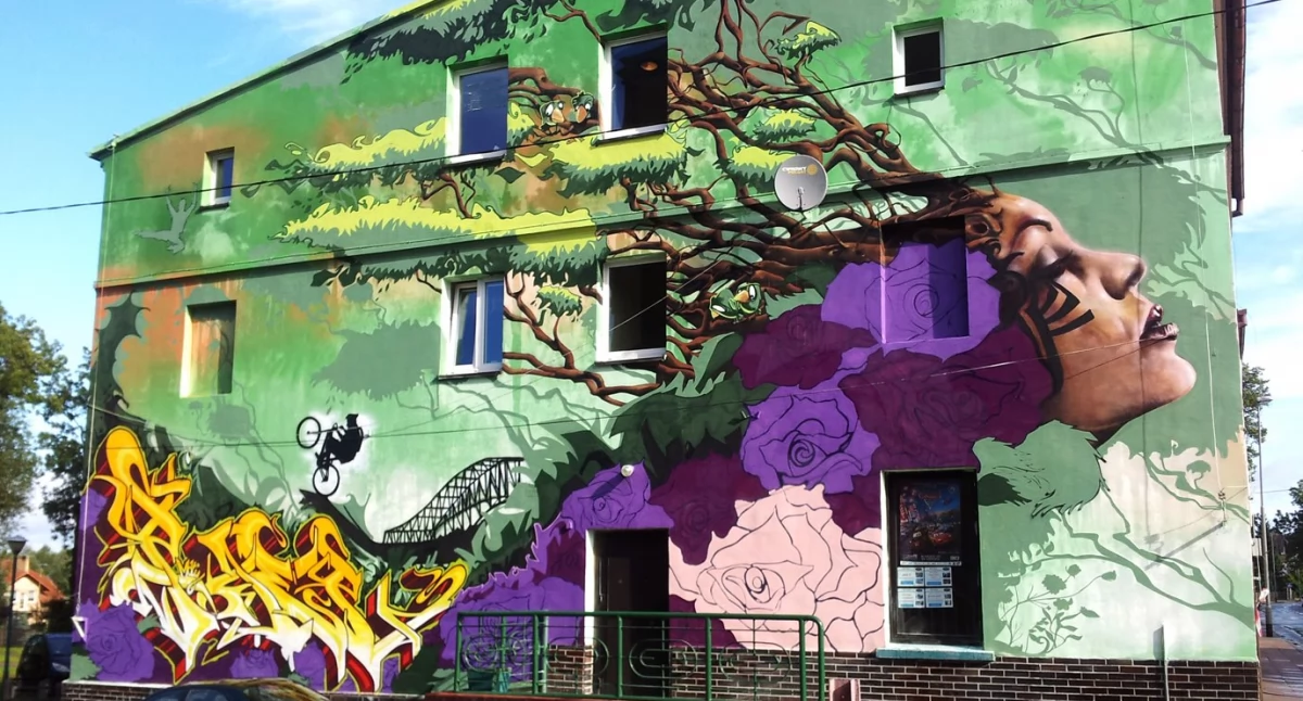 Inicjatywy społeczne, elewacji budynku powstanie mural - zdjęcie, fotografia