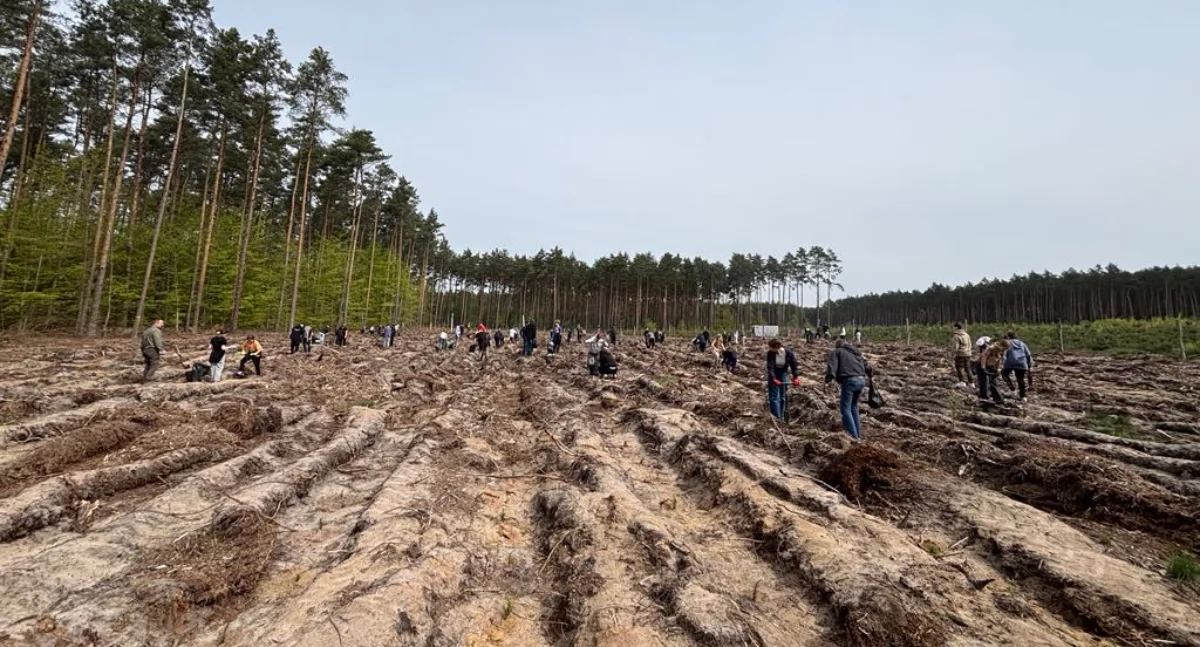 Szkoły i przedszkola, Uczniowie sadzili [GALERIA] - zdjęcie, fotografia