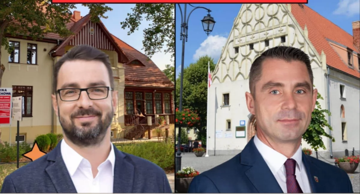 Wybory, Wójt burmistrz założyli ciasto - zdjęcie, fotografia