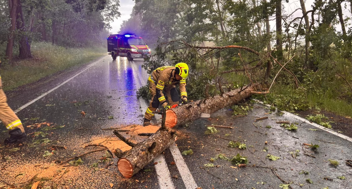 Straż pożarna, Wichury dały naszym regionie znaki - zdjęcie, fotografia