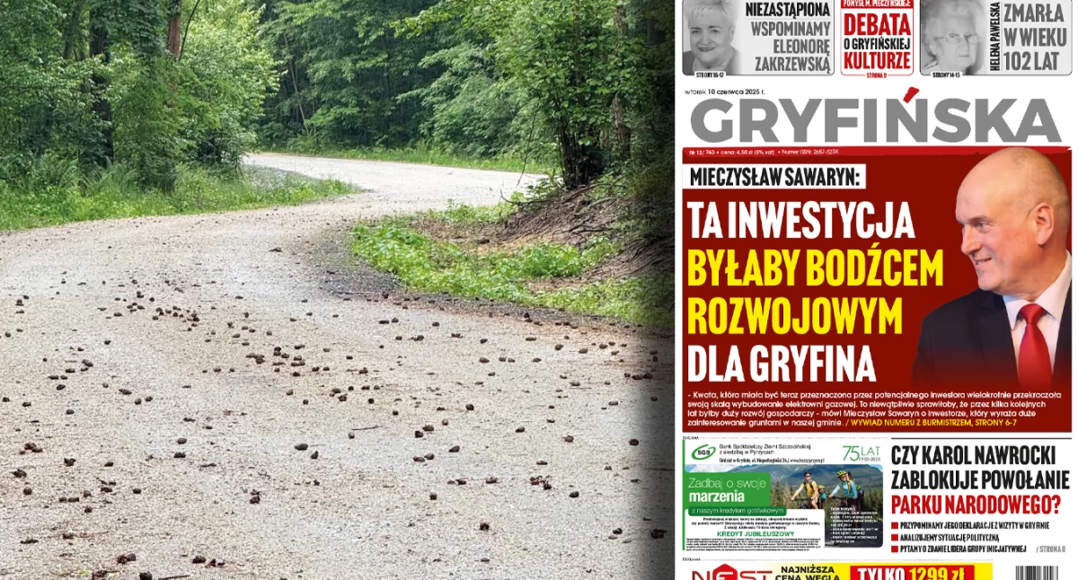 Transport i komunikacja, Leśna droga Wełtyniu Wkrótce kolejne inwestycje Nadleśnictwa - zdjęcie, fotografia