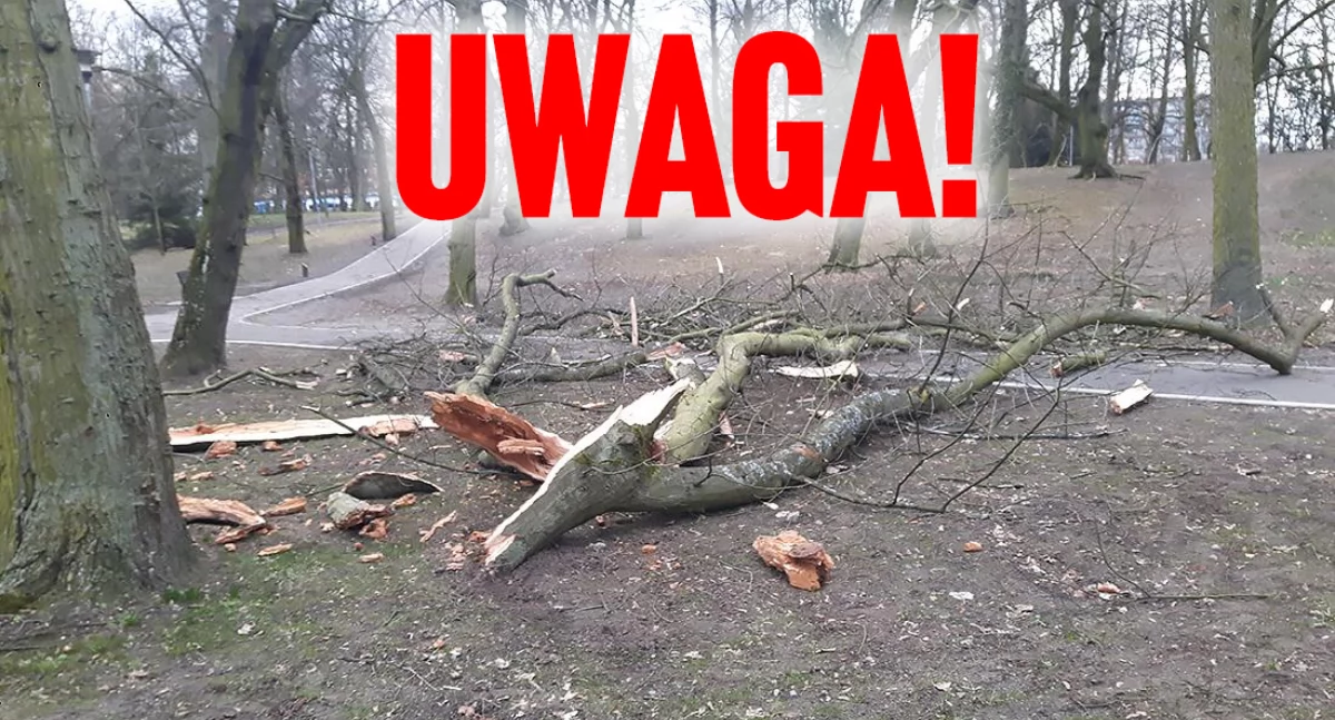 Info, Ostrzegają przed burzą zamykają cmentarze - zdjęcie, fotografia