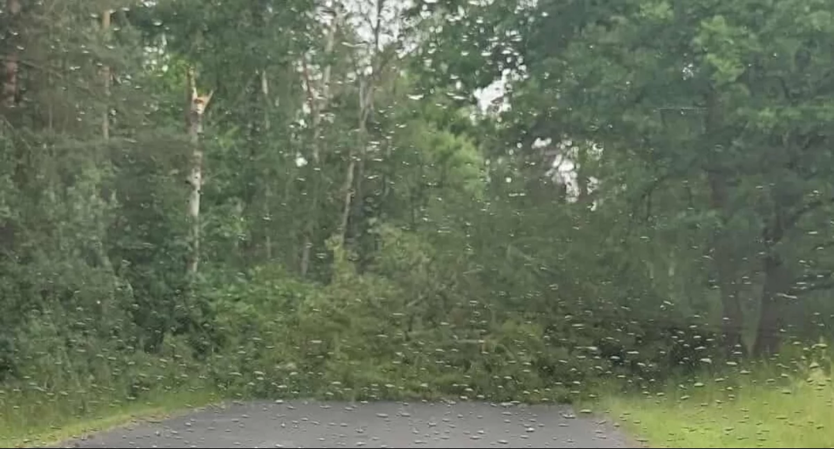 Straż pożarna, Podczas wczorajszych wichur straż pożarna podjęła działania ratownicze - zdjęcie, fotografia