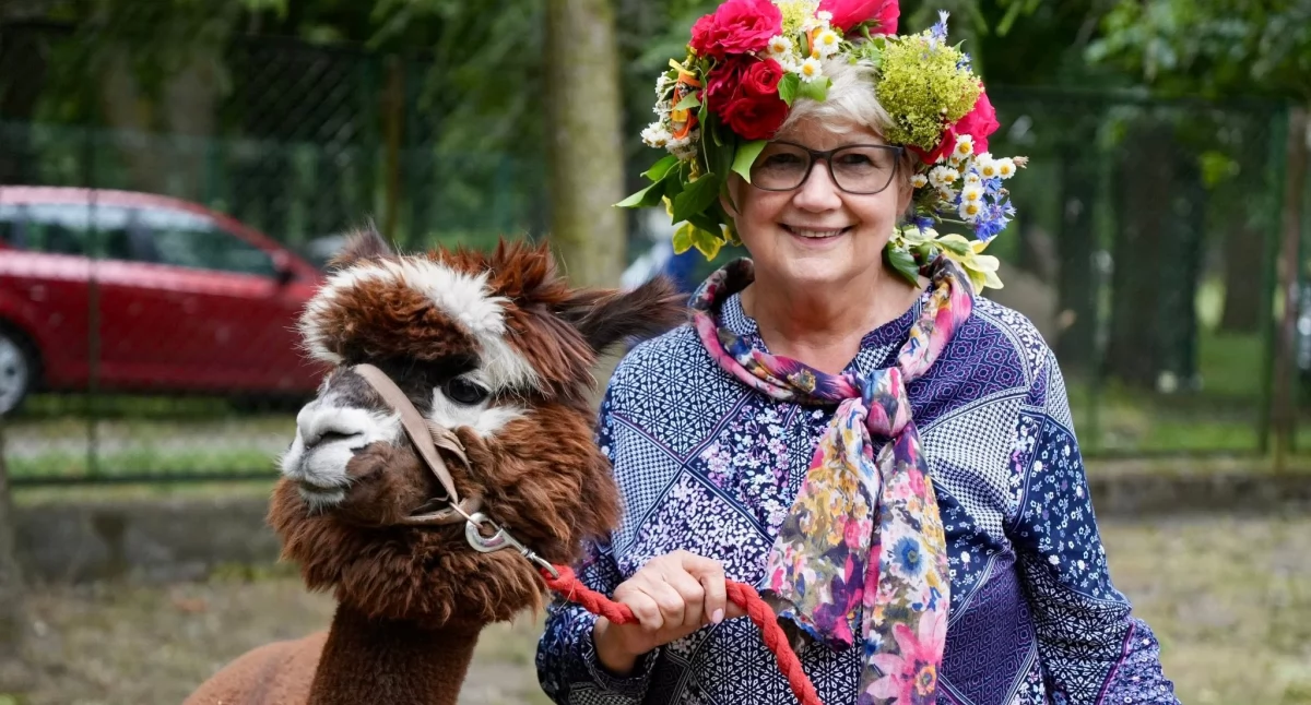 Foto i tekst: gmina Gryfino