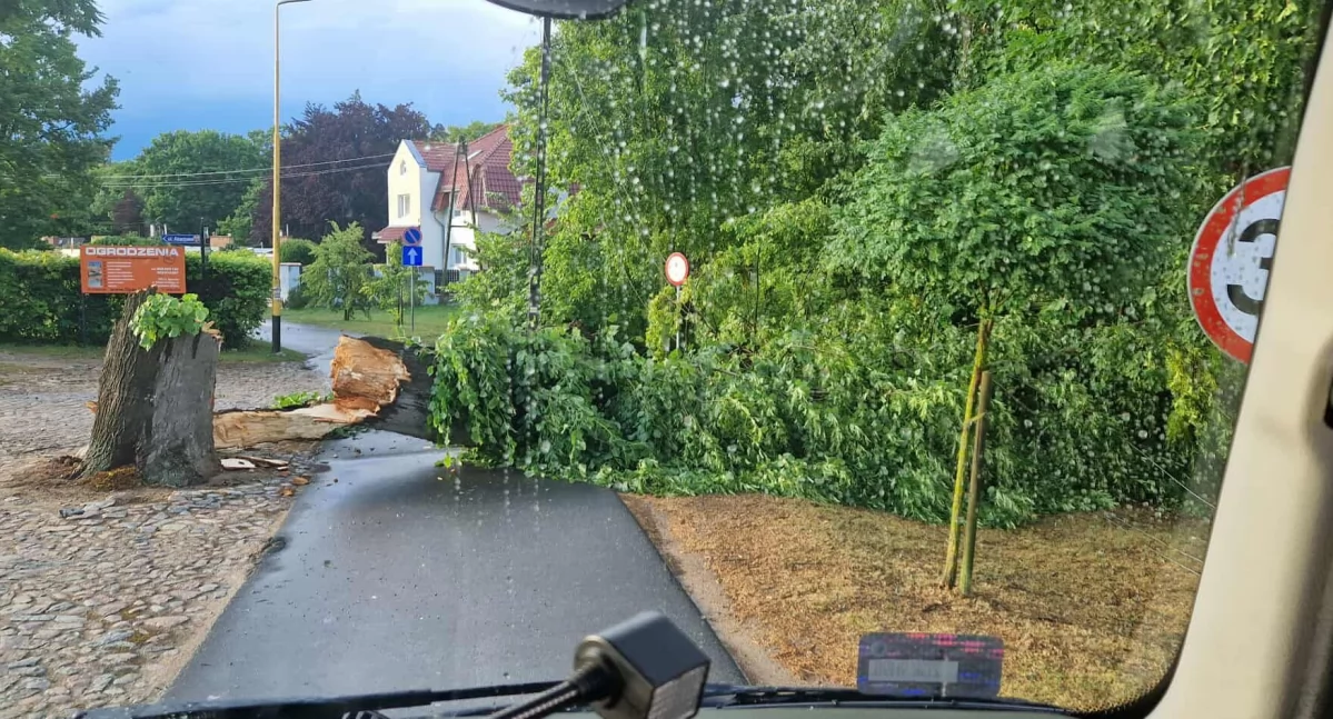 Foto: Moryń24