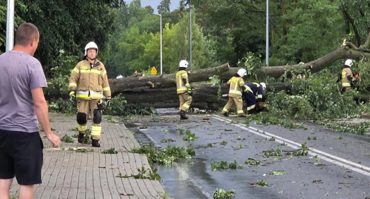 Straż pożarna, Ubiegłotygodniowe wichury odbiły życiu mieszkańców regionu - zdjęcie, fotografia