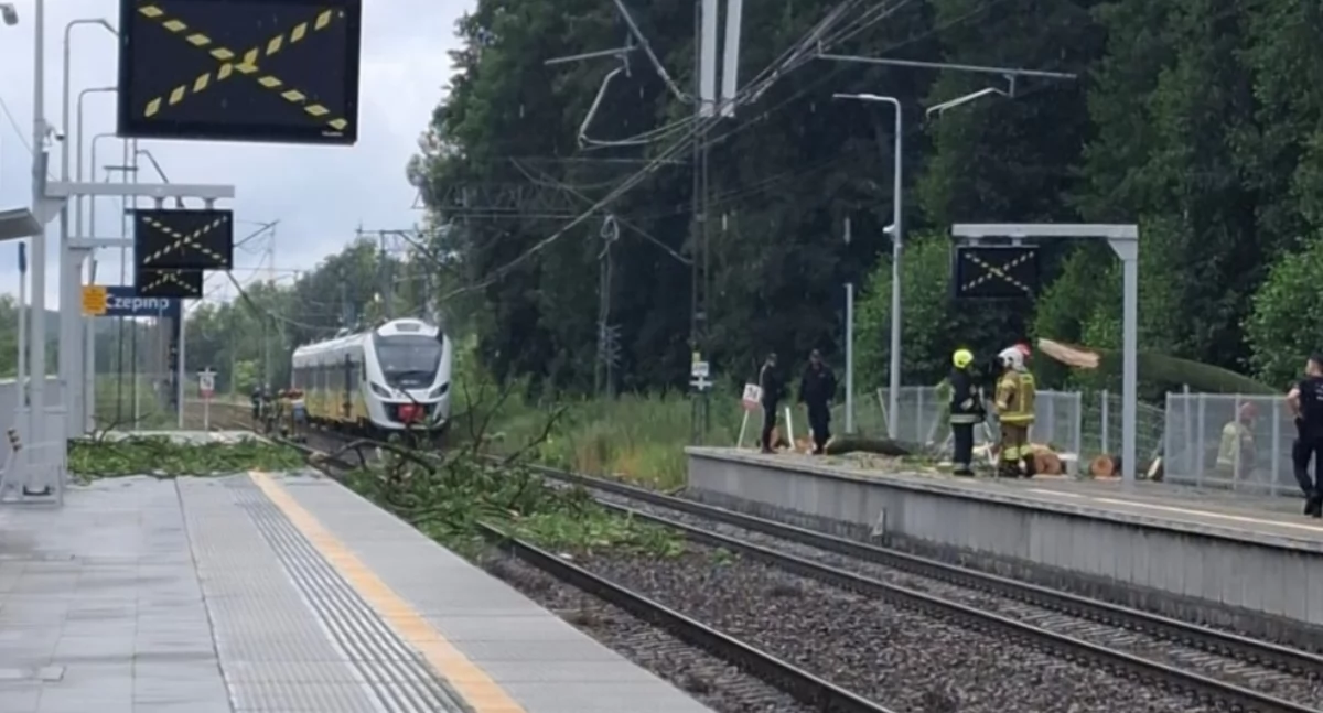 Transport i komunikacja, Drzewo spadło torowisko uszkodzilo sieć trakcyjną - zdjęcie, fotografia