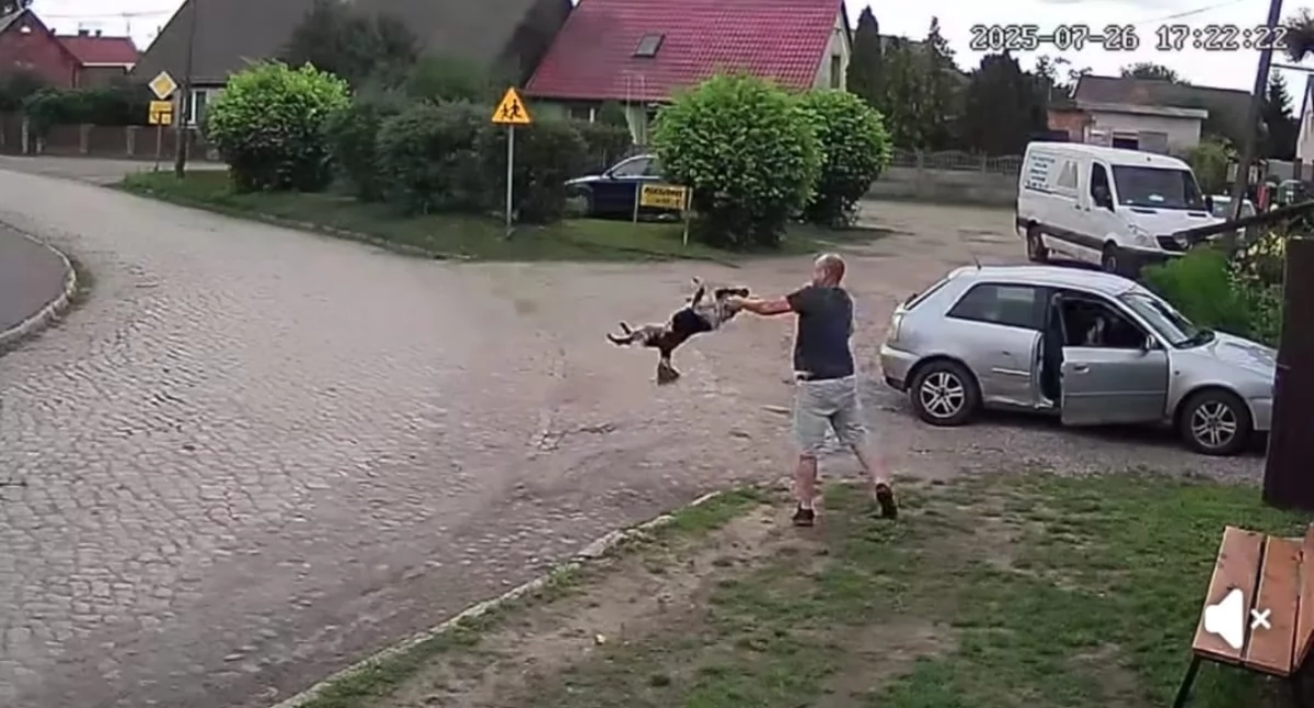 Sąd i prokuratura, Mężczyzna który brutalnie potraktował został zatrzymany - zdjęcie, fotografia